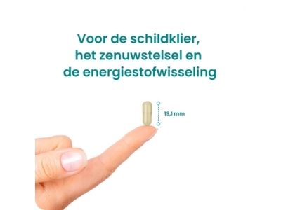 Beste Jodiumtablet  Review (2022)  5x Jodium Pillen Test