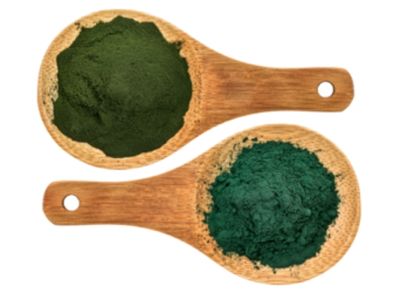 Organico Turbo Green Juice  Review Beste Keuze